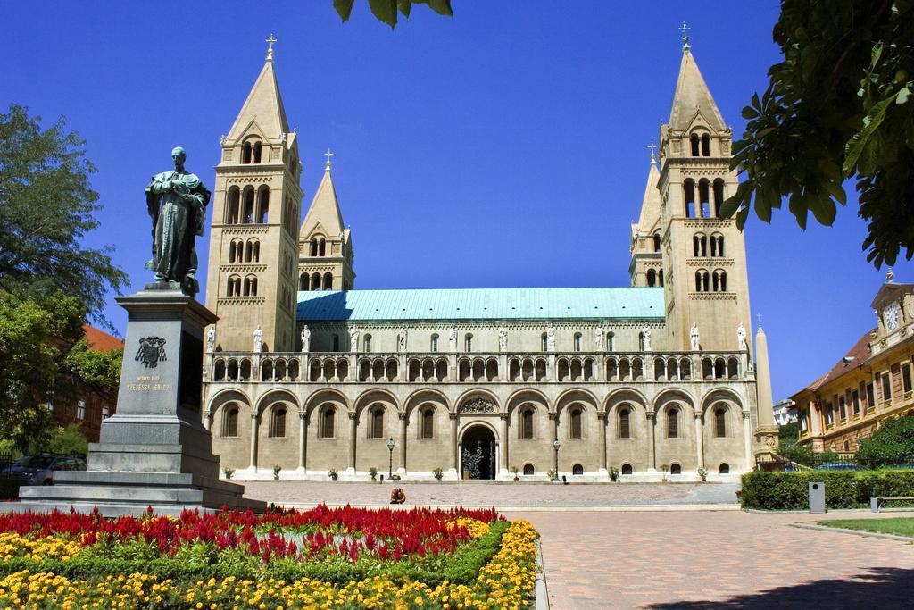 Rosmarinus * Pécs