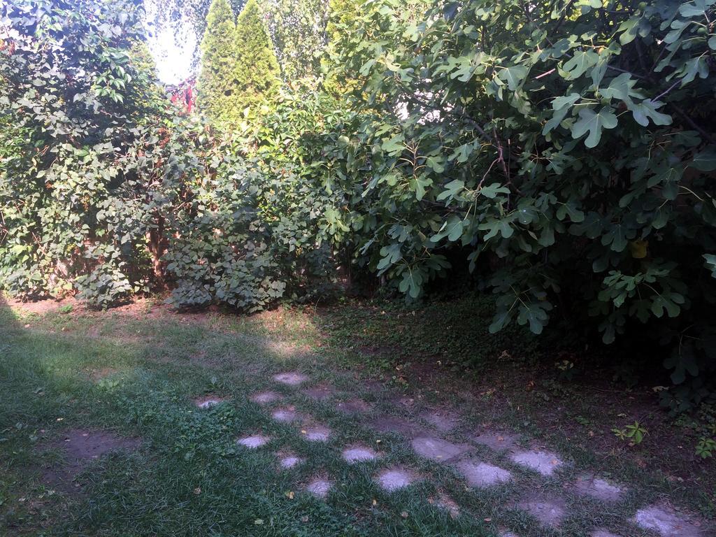 Apartment Rosmarinus *